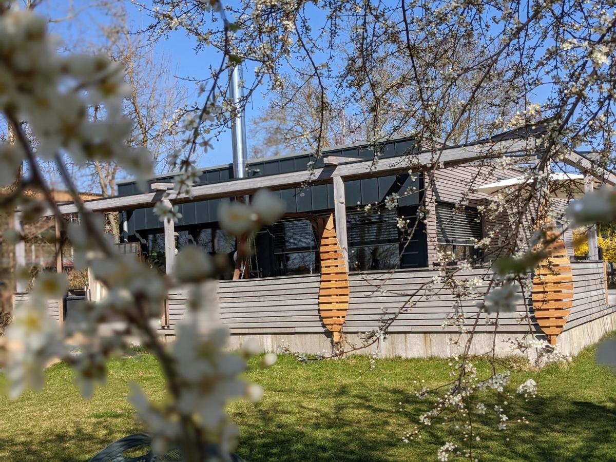 Ferienhaus Naturwerk Schwarzach am Main Exteriör bild