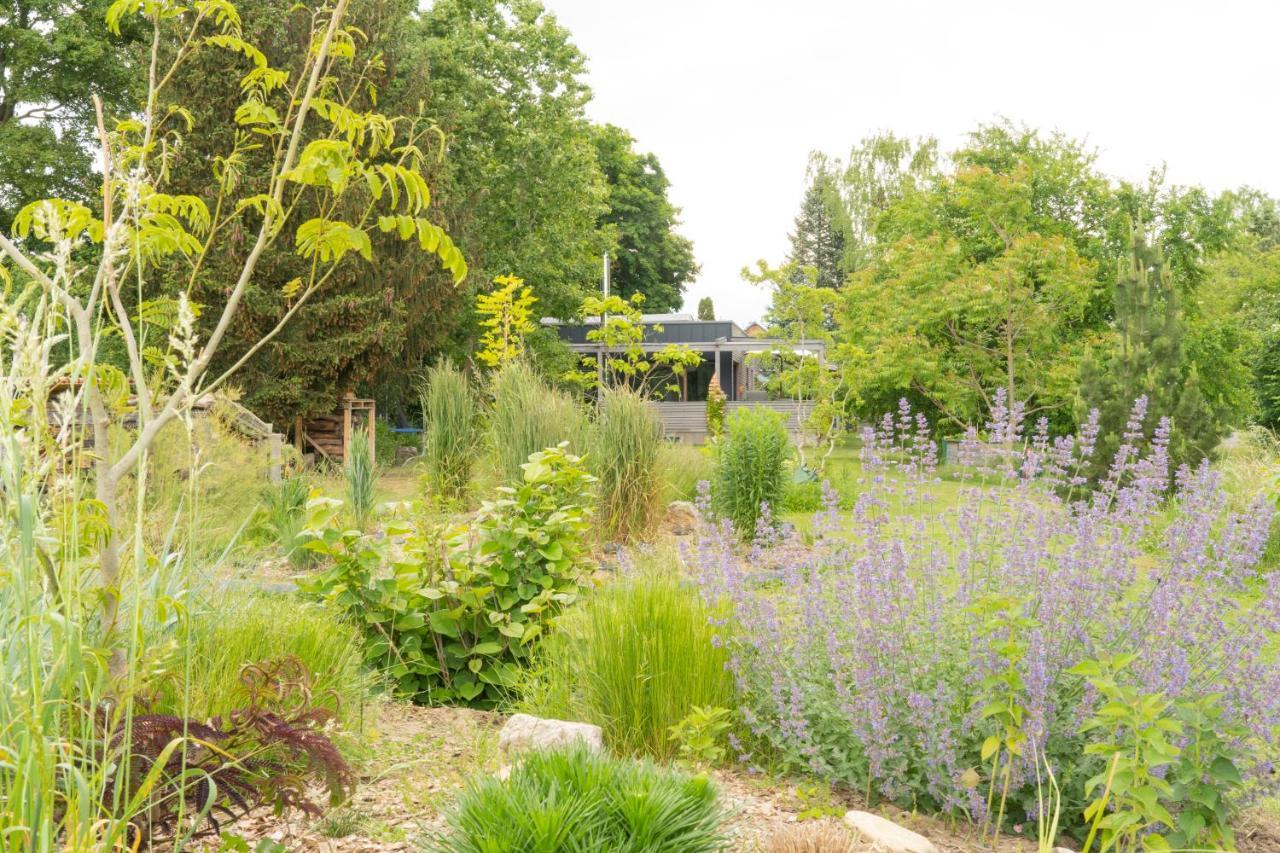 Ferienhaus Naturwerk Schwarzach am Main Exteriör bild